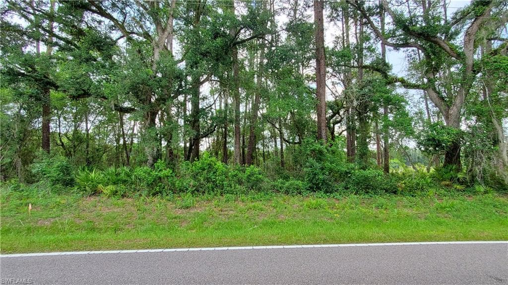 35121 Richardson BLVD WEBSTER, FL 33597