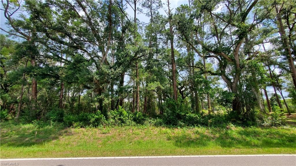 35047 Richardson BLVD WEBSTER, FL 33597