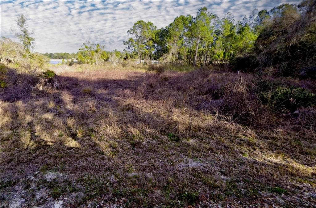 34258 Berryhill DR WEBSTER, FL 33597