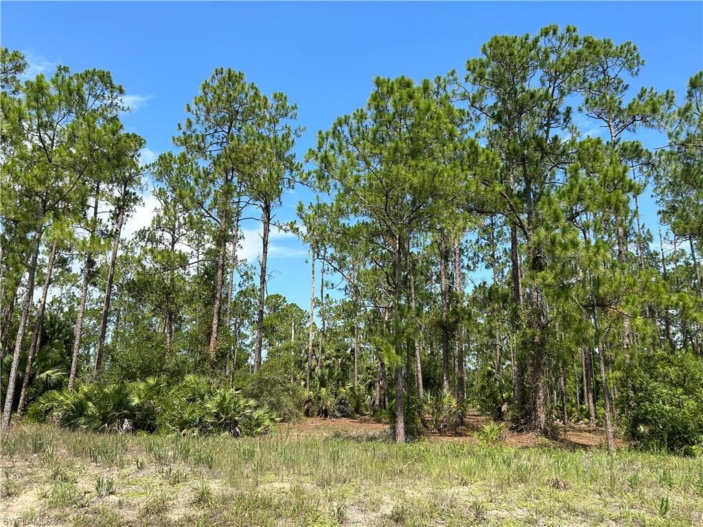 709 Truman AVE LEHIGH ACRES, FL 33972