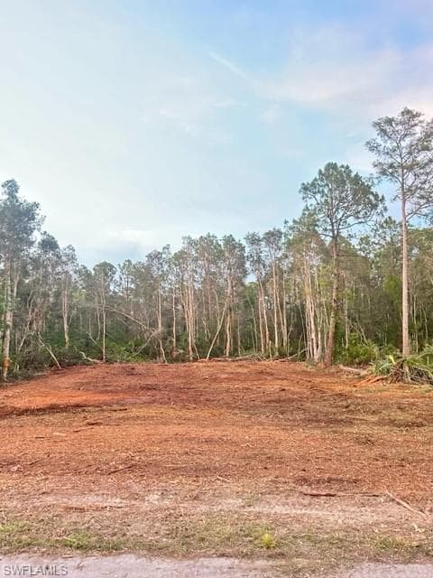 623 Delmonico ST LEHIGH ACRES, FL 33974