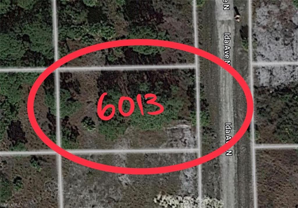 6013 Ida AVE N LEHIGH ACRES, FL 33971
