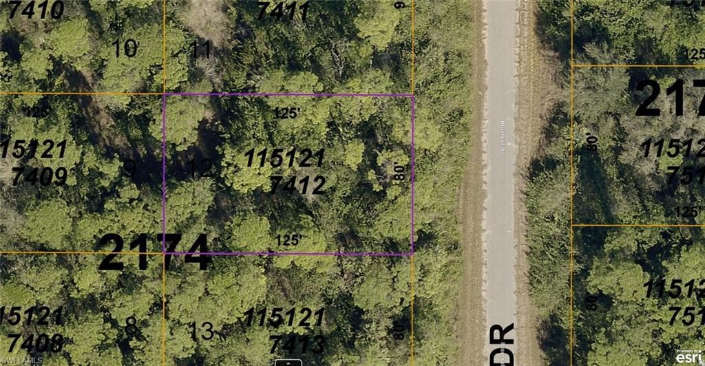 1151217412 Blueleaf DR NORTH PORT, FL 34288