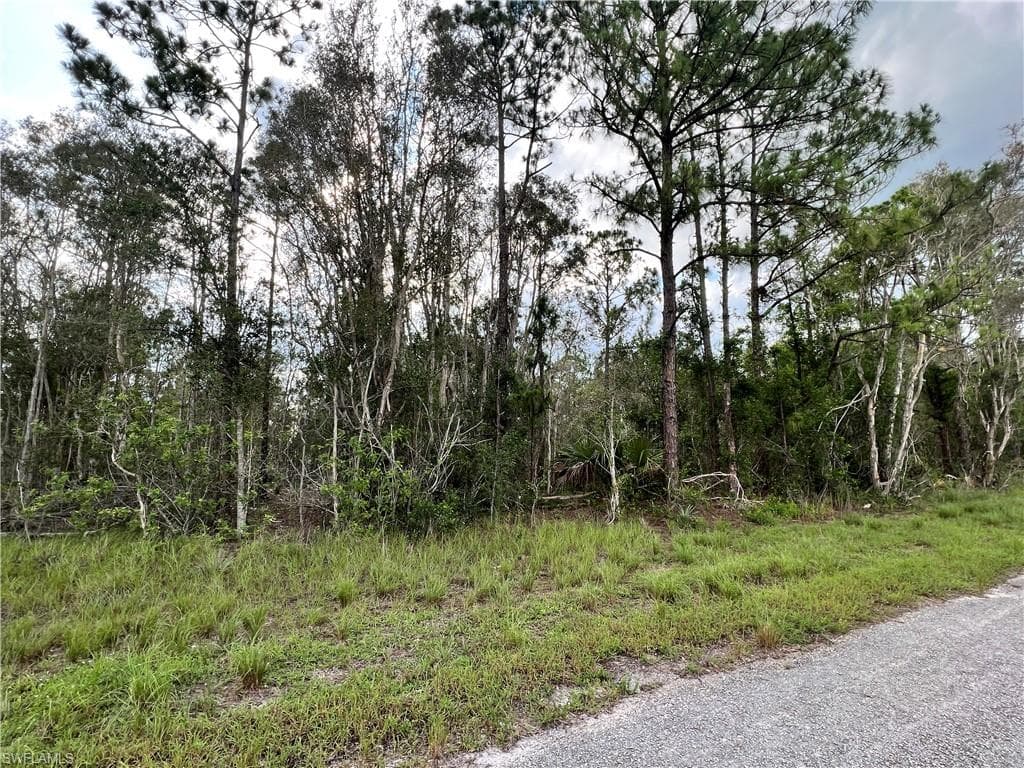 712 Goldwyn AVE S LEHIGH ACRES, FL 33974