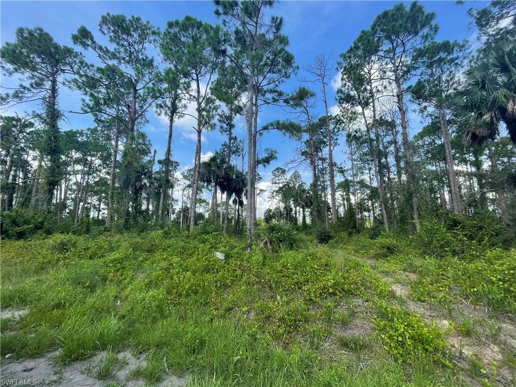 1207 Pine AVE LEHIGH ACRES, FL 33972