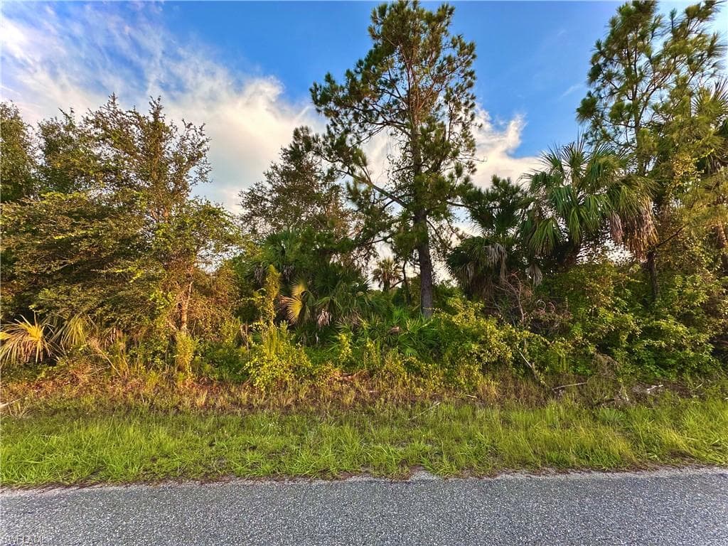3217 51st ST W LEHIGH ACRES, FL 33971