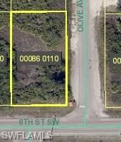 3116 8th ST SW LEHIGH ACRES, FL 33976
