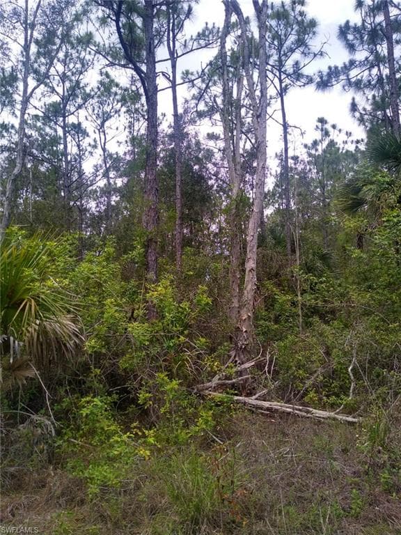 12451 Caravan DR PUNTA GORDA, FL 33955