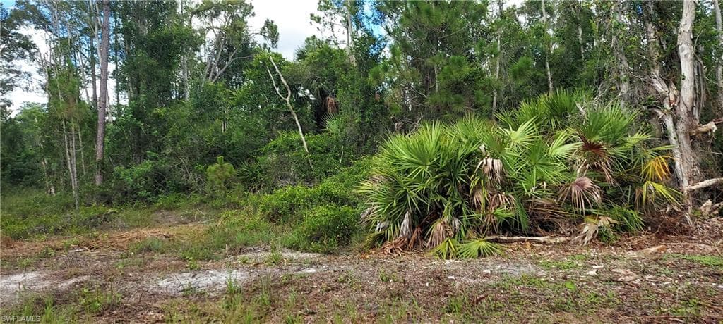 908 Anaconda AVE S LEHIGH ACRES, FL 33974