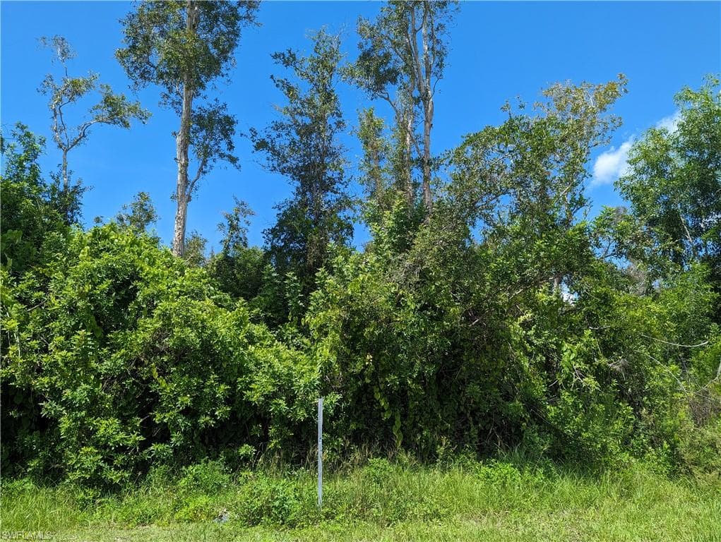 17370 Dumont DR FORT MYERS, FL 33967