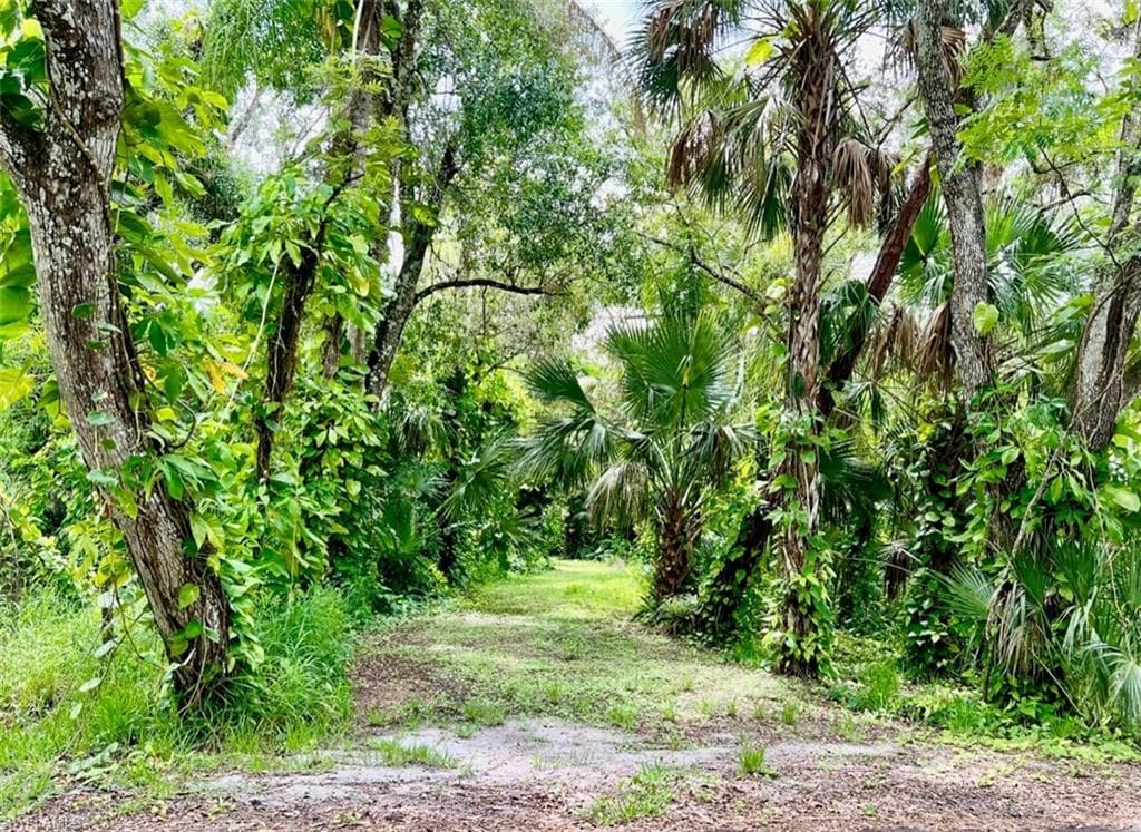 385 Caloosa DR LABELLE, FL 33935
