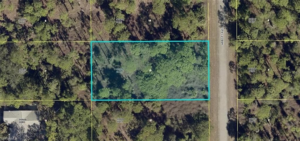 1213 Abbott AVE LEHIGH ACRES, FL 33972