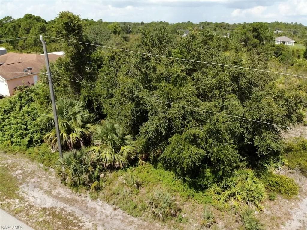 6015 Olive AVE N LEHIGH ACRES, FL 33971