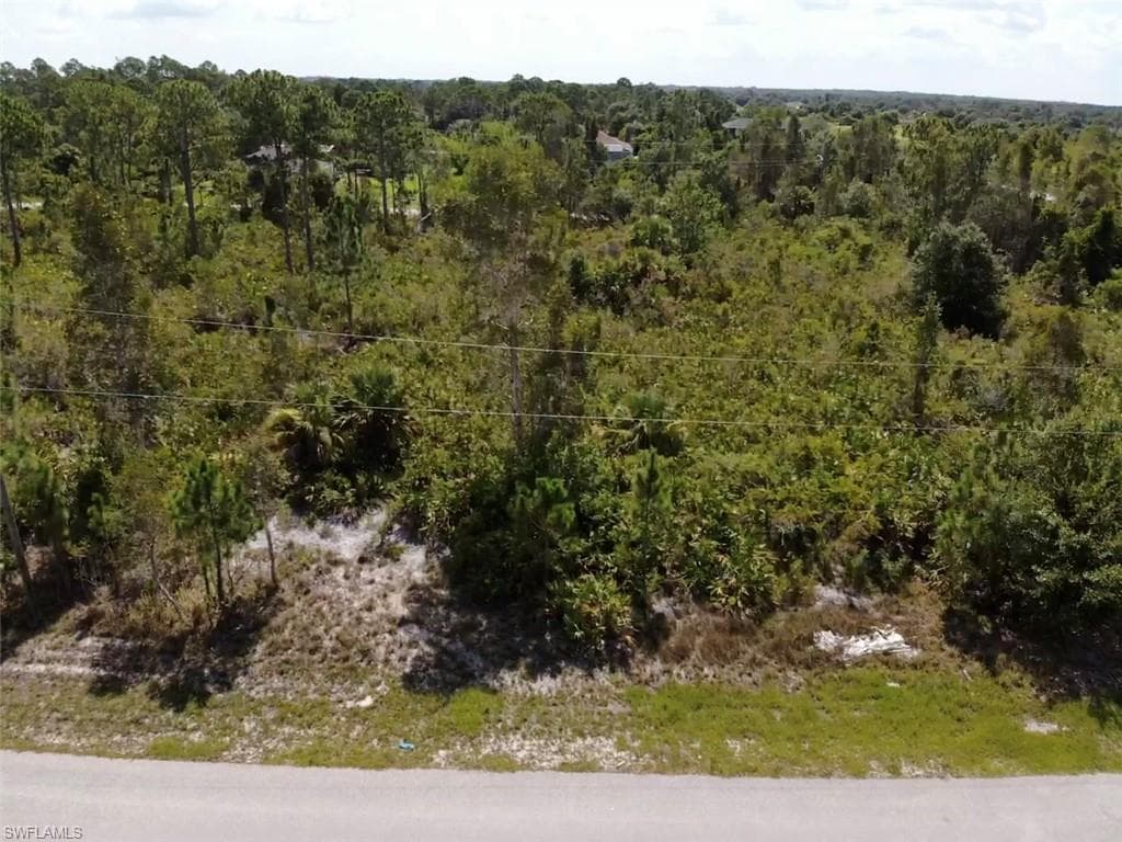 6004 Sara AVE N LEHIGH ACRES, FL 33971