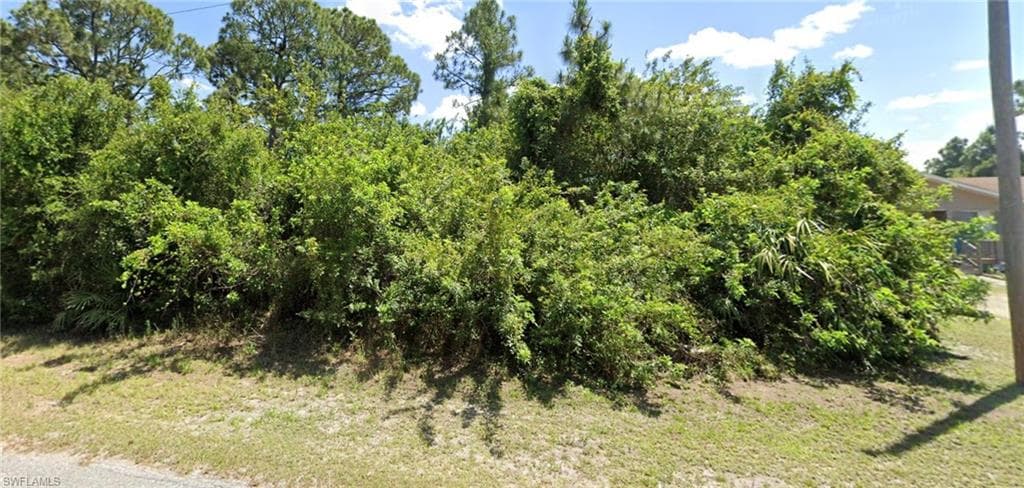 824 Clow ST E LEHIGH ACRES, FL 33974