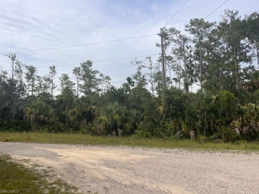 686 Ledge ST LEHIGH ACRES, FL 33972