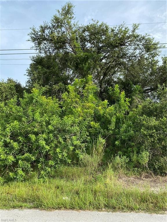 4202 18th ST SW LEHIGH ACRES, FL 33976