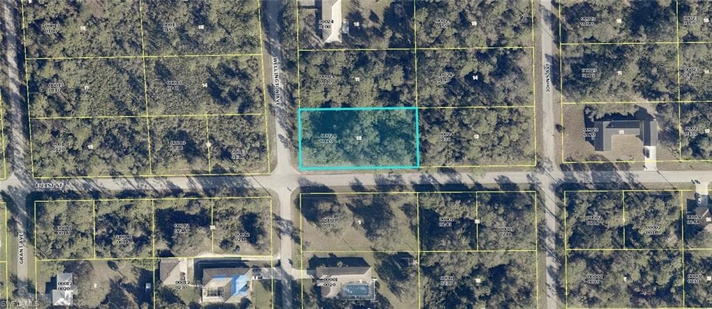 2100 Wellington AVE ALVA, FL 33920