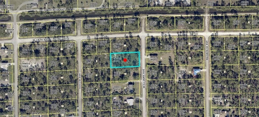 1717 Williams AVE LEHIGH ACRES, FL 33972
