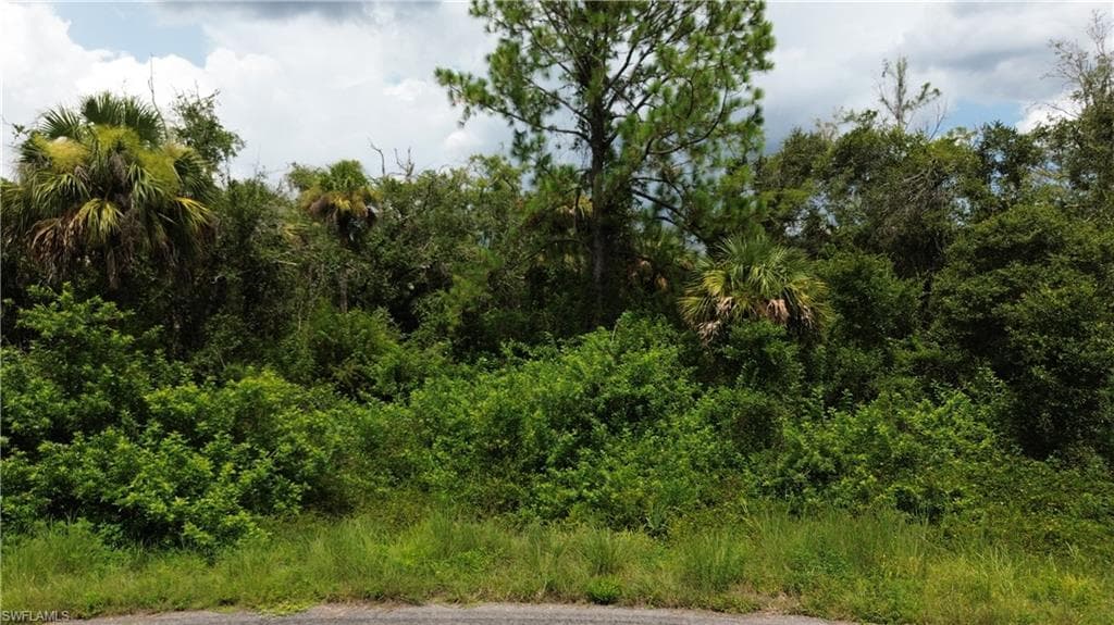 1993 Walcott LOOP LEHIGH ACRES, FL 33972