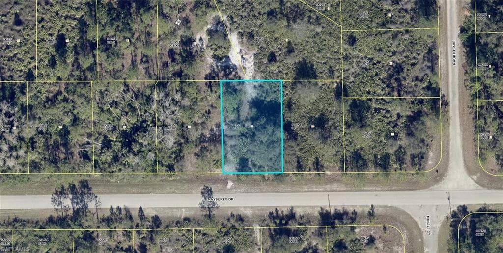 1817 Mayberry DR LEHIGH ACRES, FL 33972