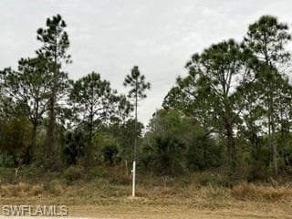 520 S Kennel ST CLEWISTON, FL 33440