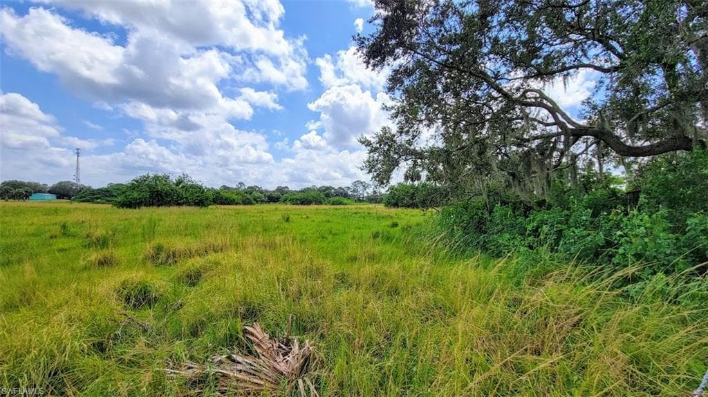 Morris Taylor RD FELDA, FL 33930