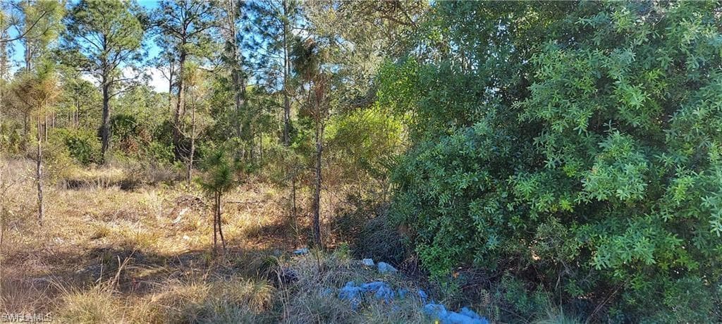 2102 Robert AVE ALVA, FL 33920