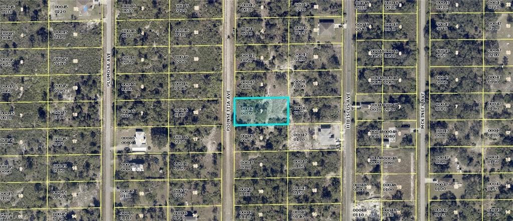 1510 Poinsettia AVE LEHIGH ACRES, FL 33972