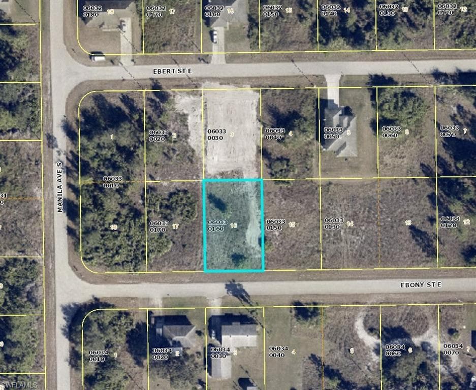 1141 Ebony ST E LEHIGH ACRES, FL 33974