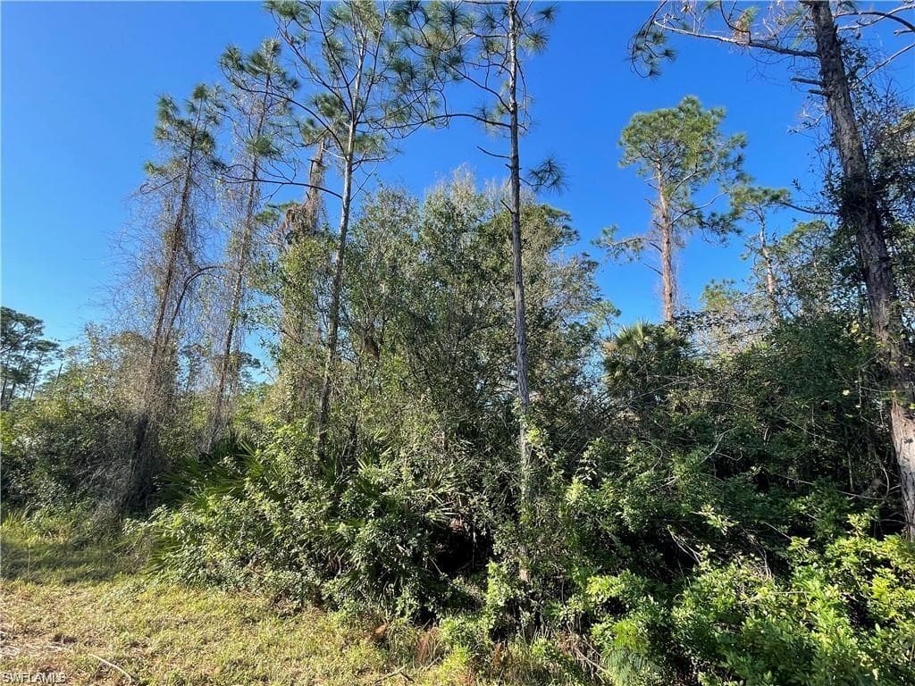 103 Truman AVE LEHIGH ACRES, FL 33936