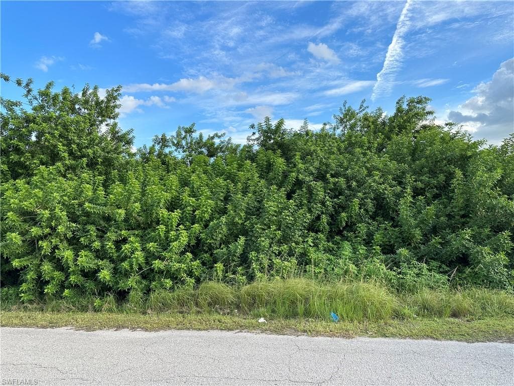 4205 14th ST SW LEHIGH ACRES, FL 33976