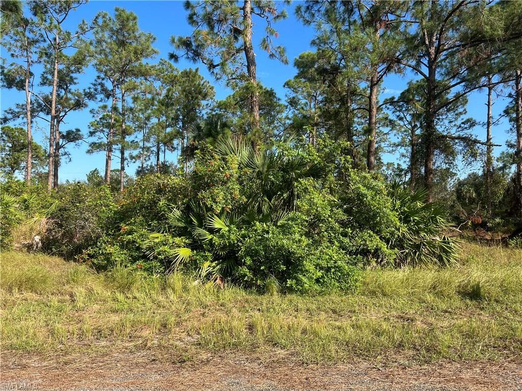 2006 McArthur AVE ALVA, FL 33920