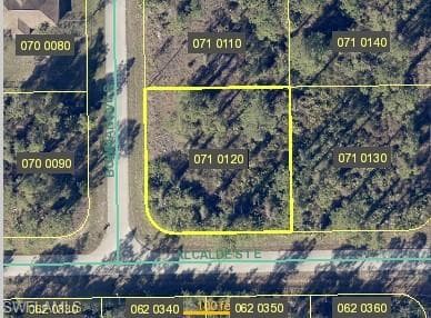245 Bowman AVE S LEHIGH ACRES, FL 33974