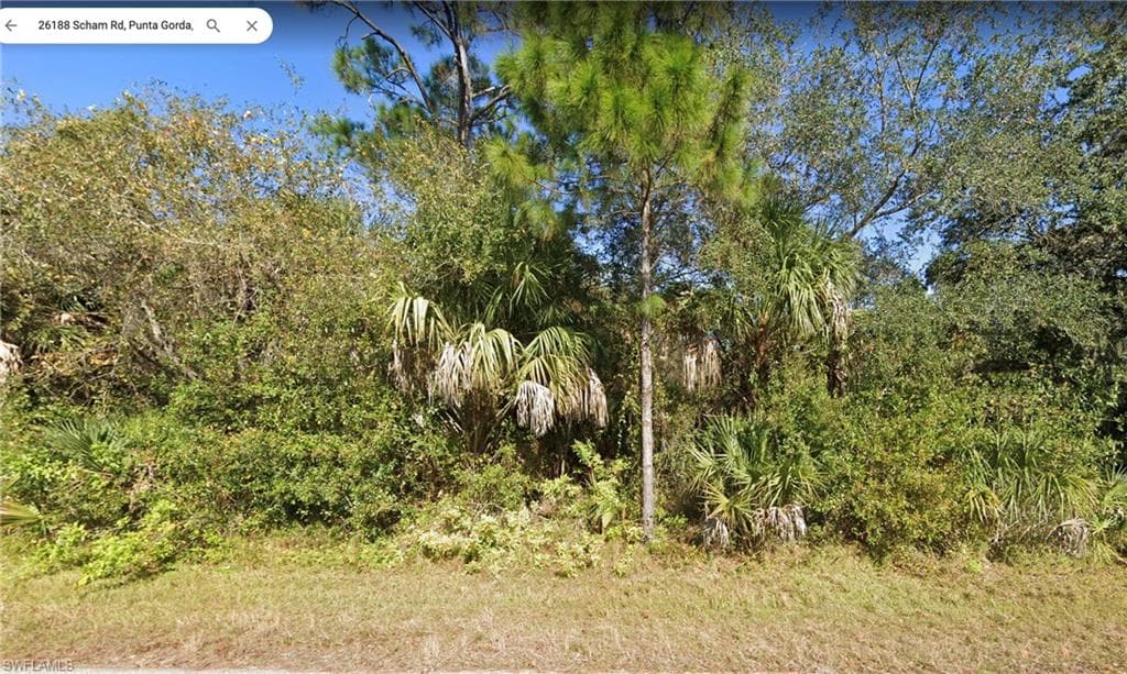 26188 Scham RD PUNTA GORDA, FL 33955