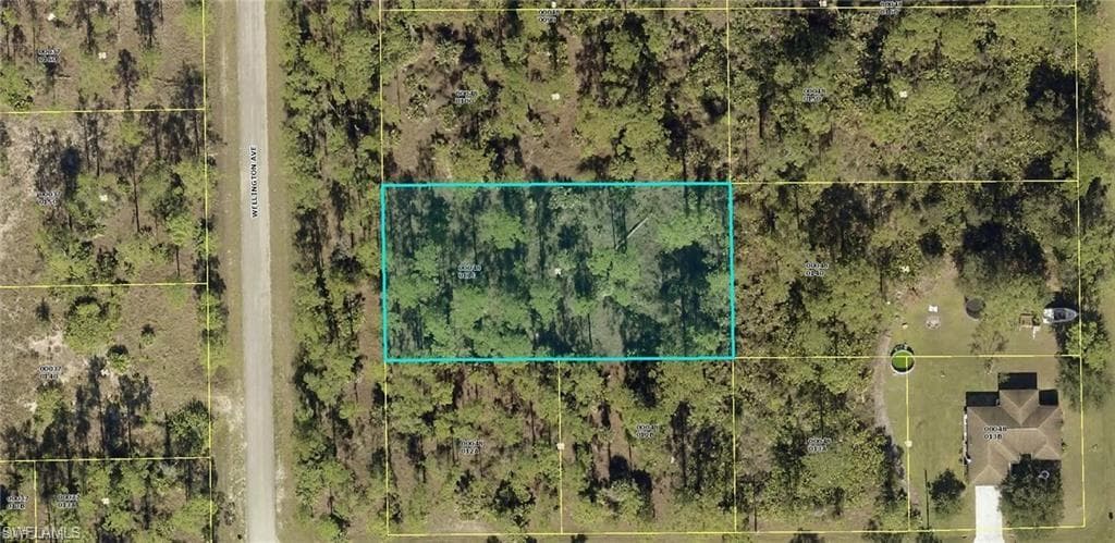 2302 Wellington AVE ALVA, FL 33920