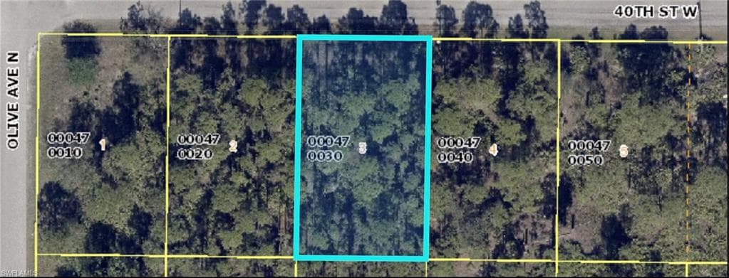 3109 40th ST W LEHIGH ACRES, FL 33971