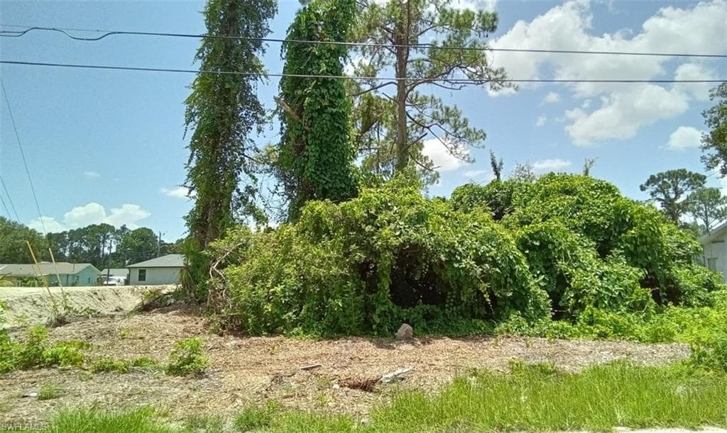 4313 Douglas LN LEHIGH ACRES, FL 33976