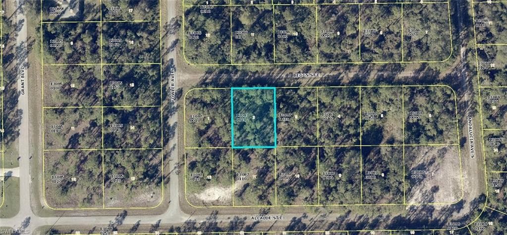 1060 Beggs ST E LEHIGH ACRES, FL 33974