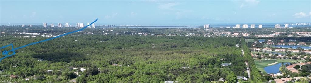 25313 Pinson DR BONITA SPRINGS, FL 34135