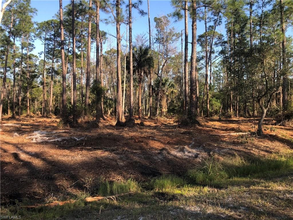 2306 Columbus AVE ALVA, FL 33920