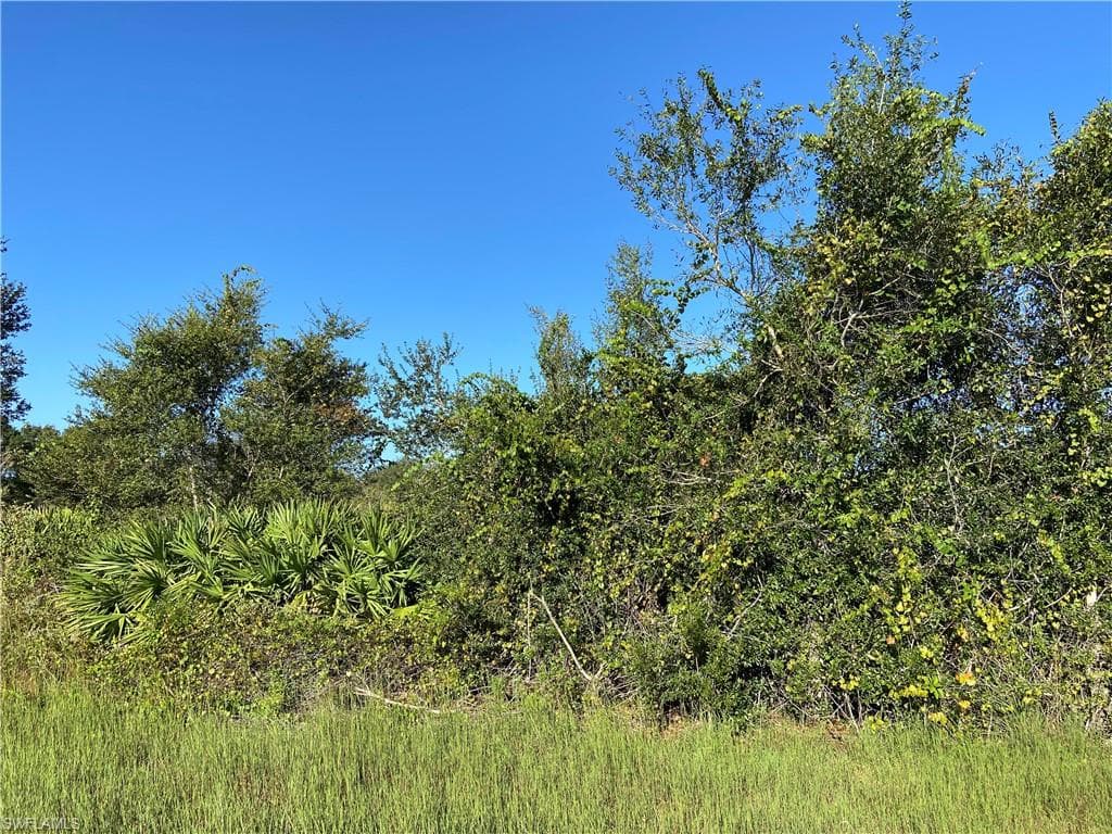 1753 Pine AVE LEHIGH ACRES, FL 33972