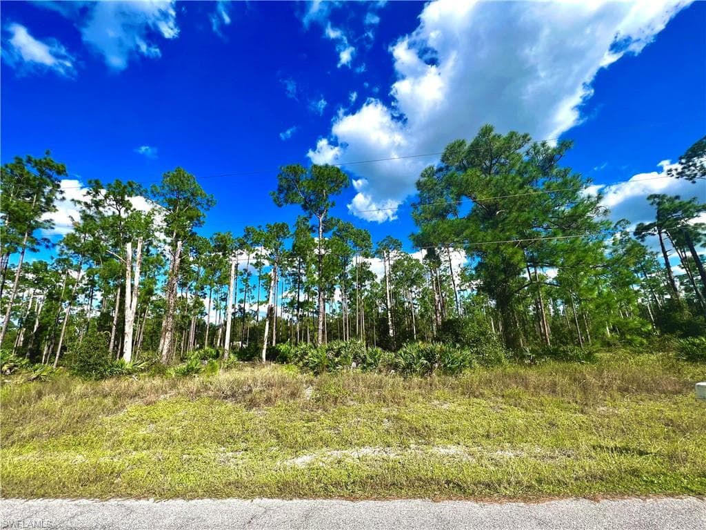 910 Wells AVE LEHIGH ACRES, FL 33972