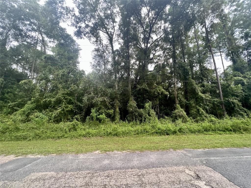 411 Eridani CT W CITRUS SPRINGS, FL 34434