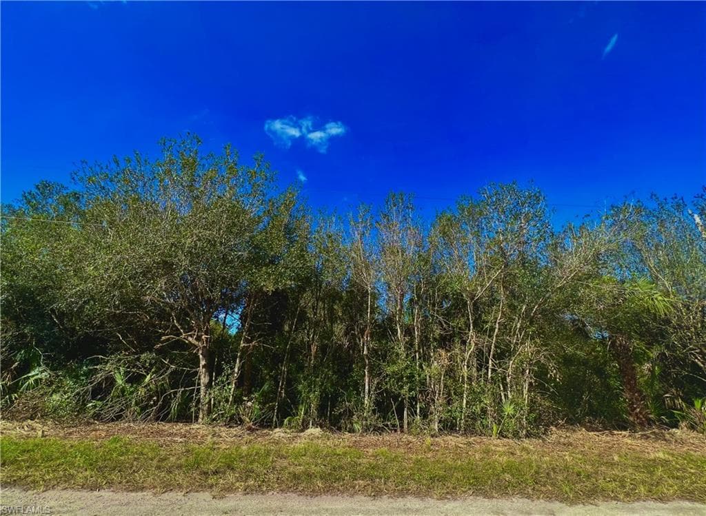 518 Edward Hall AVE S LEHIGH ACRES, FL 33974