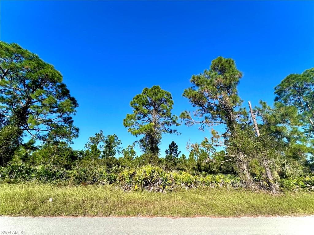 312 Bradley AVE LEHIGH ACRES, FL 33974