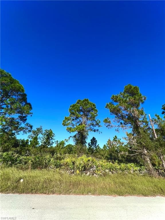 314 Bradley AVE LEHIGH ACRES, FL 33974