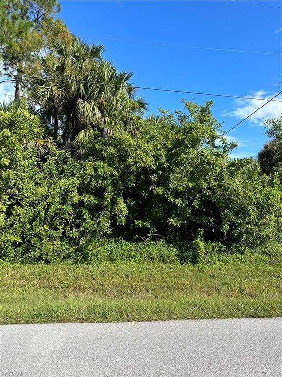 XXX 39th AVE NE NAPLES, FL 34120