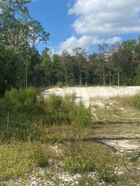 2729 Wilson BLVD N NAPLES, FL 34120