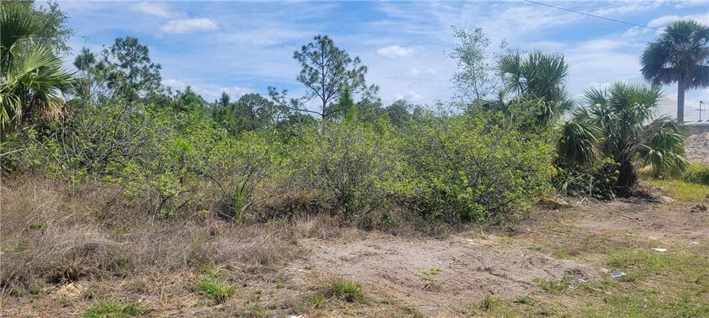 872 Aldrich ST E LEHIGH ACRES, FL 33974